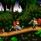 Donkey Kong Country