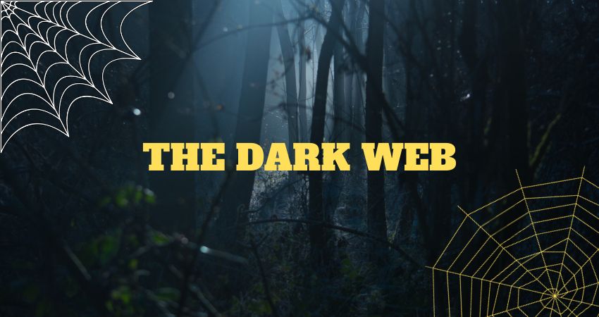 The Dark Web: A Closer Look